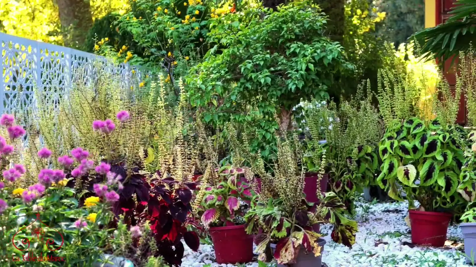 Le jardin fleuri et la fontaine en mosaïque de La Table du Maroc, à Saintes